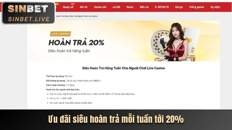 Giao diện người dùng thân thiện của 99vz Web